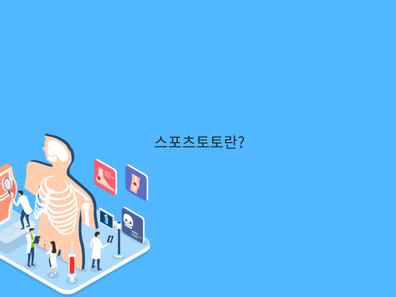 스포츠토토란